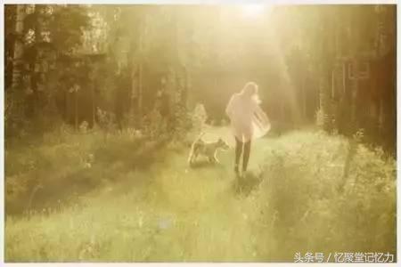 中小学语文文学常识,语文必考文学常识