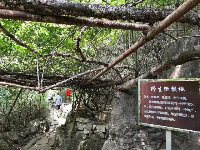 距京160公里,山水面积达5km²,双泉汇流誉为“十里画廊”