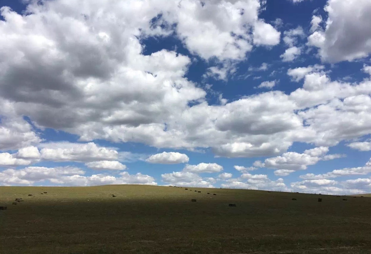 正蓝旗蟹岛度假村门票,内蒙古正蓝旗蟹岛度假村