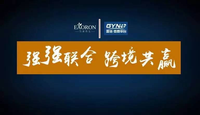 十万人团队,eaoron新微商