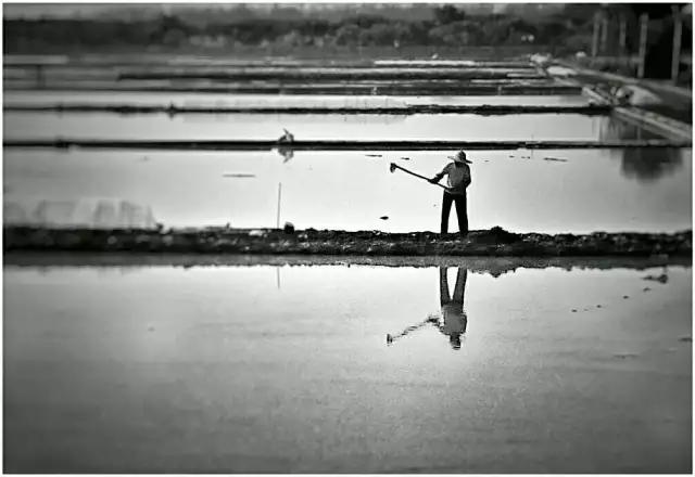 CMPA|2016年3月7日编辑推荐作品