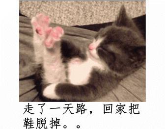 篮球场上的搞笑图片,打篮球加一个人搞笑图片