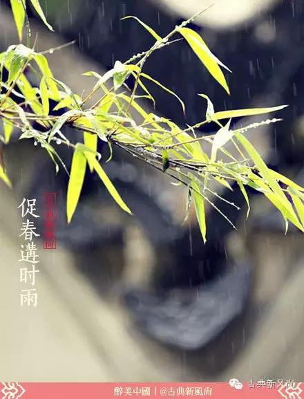 惊蛰二月节书法,惊蛰二月节古诗朗诵