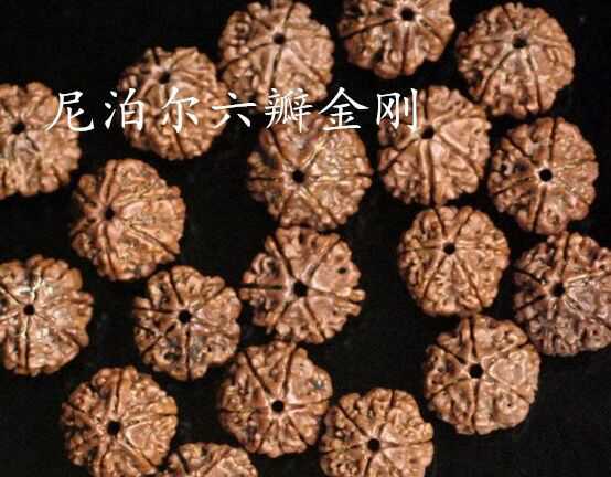 大金刚和落地红的区别在哪里,大金刚怎么辨别是不是落地红