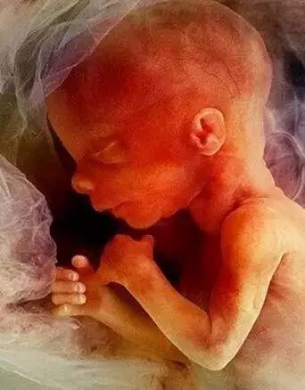 做个有爱的爸爸,做一个有爱的父母