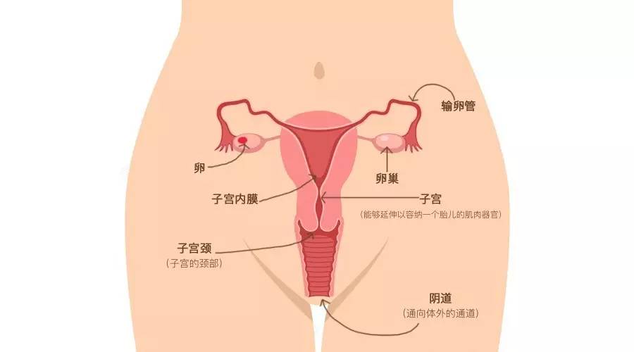 她们都存了,就差你了!