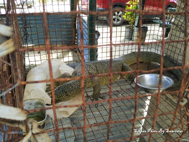 去塞班岛看海,带着小米NotePro和小蚁运动相机就足够了