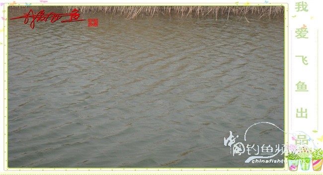 2016之我爱飞鱼觅得好钓点