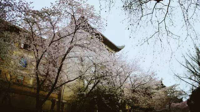 清明小长假出游提醒 (清明小长假微信消息)