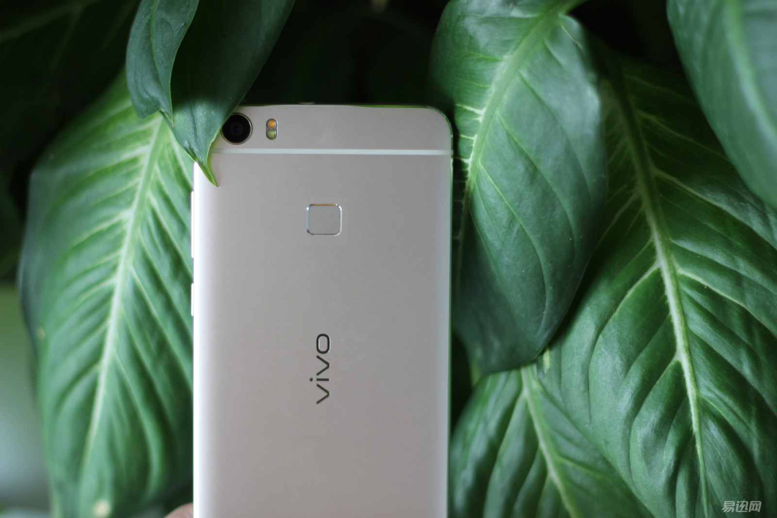 3698元买vivoxplay5值得吗,测评1699