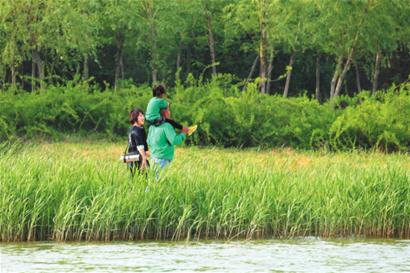 德州经济开发区减河湿地风景区,德州减河湿地景点
