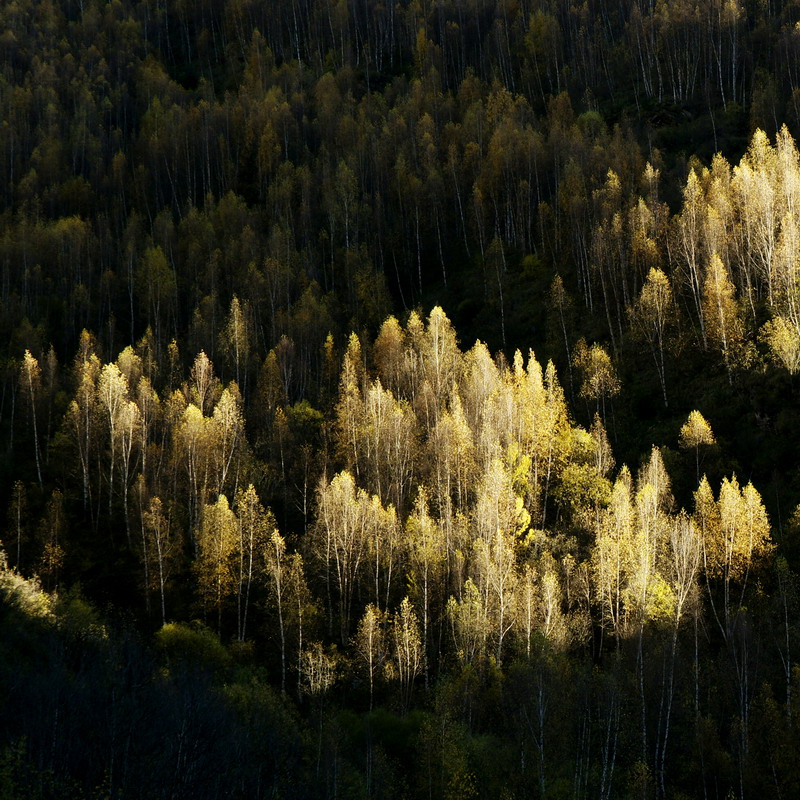 同型半胱氨酸是独立健康指标,同型半胱氨酸孕妇指标5.9正常吗