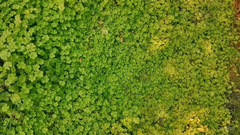 小米1当年怎样,有关小米1最早的视频