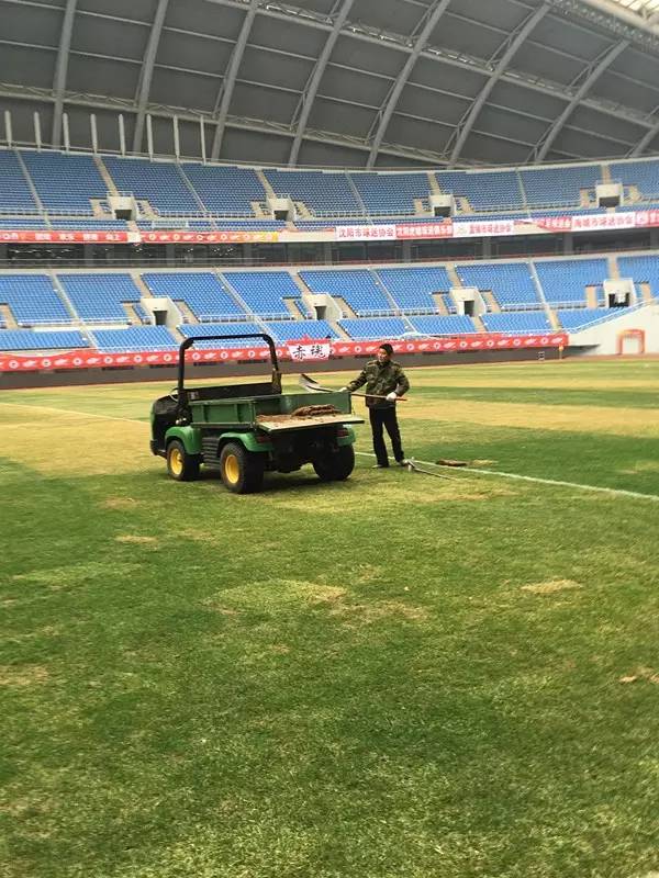 玉面郎君张玉宁,玉面郎君张玉宁戴面具