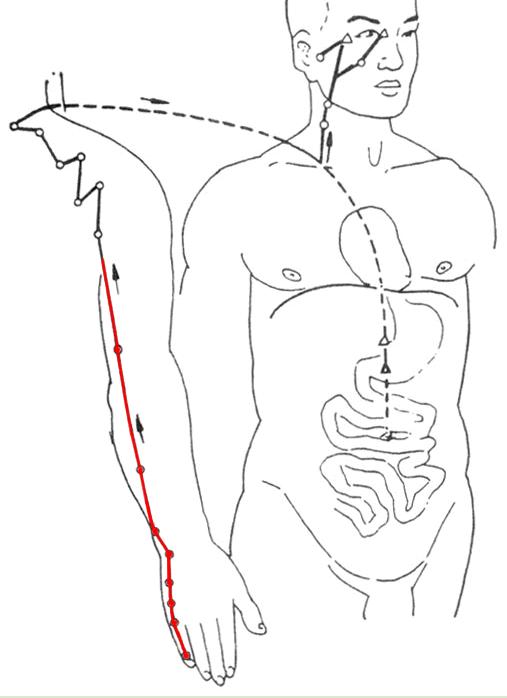 人体经络运行图详解视频,经络穴位运行图