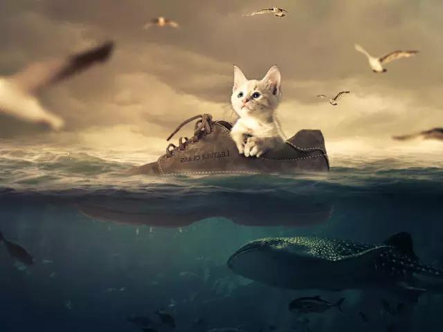 不会制作ppt别担心,初学者不会做ppt