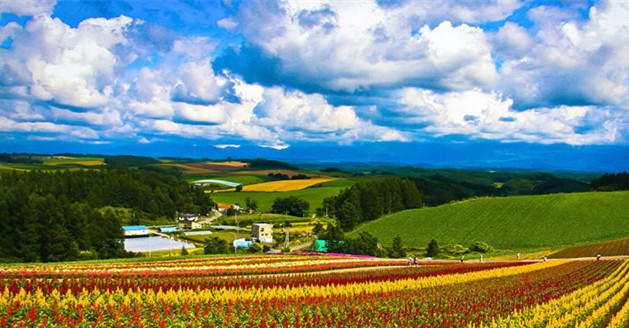 波尔多和拉菲传奇的区别,波尔多和干邑的区别