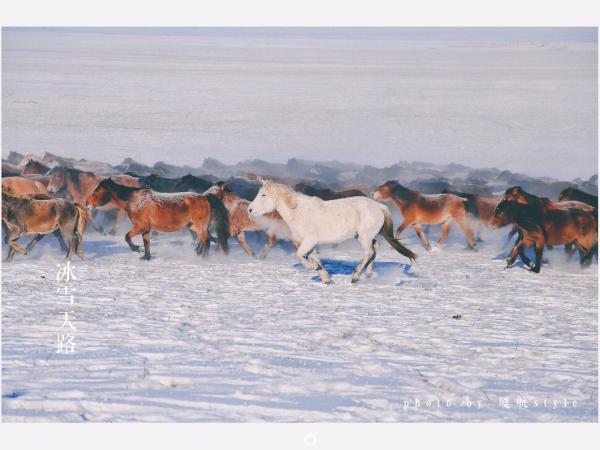 牧马少年歌曲完整版,牧马少年草原