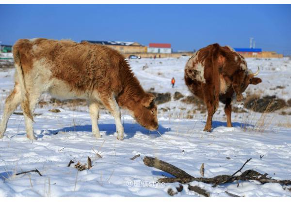 牧马少年歌曲完整版,牧马少年草原