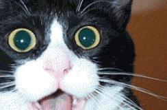 衡阳3月底的气温怎么样,衡阳未来几天气温会降低吗