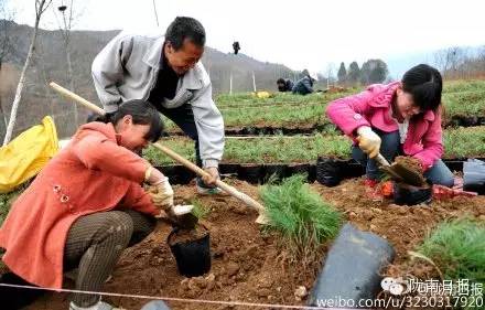 新闻资讯我县春耕春播热火朝天,春耕忙新闻