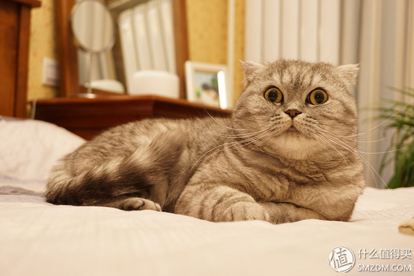 上下层老房改造装修,十万装修71平米老房改造