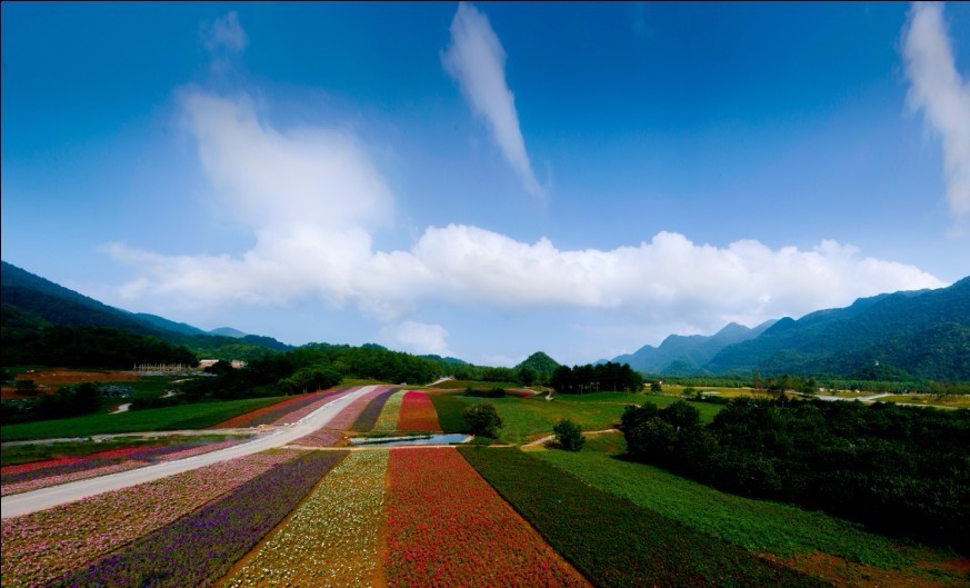 2022免重庆门票景区详细名单公布,重庆免费18个景区