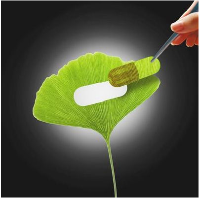 植物降压药有哪些 (2019降压药市场情况分析)