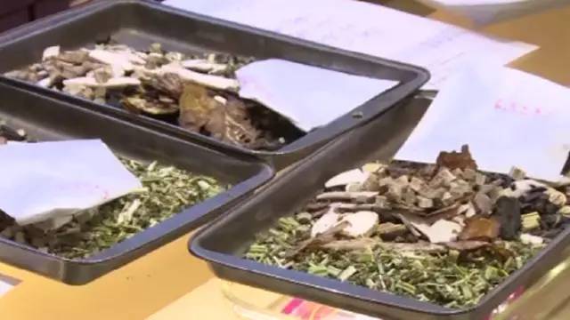 一带一路丨古稀之年的老中医:治本才能治标