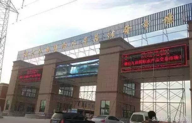 9月1号开海海鲜能便宜吗,9.1开海海鲜掉价吗