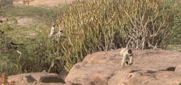 豆瓣9.7的冷门好片，送给每个热爱生命的人