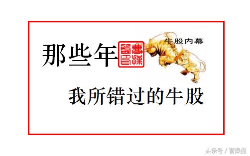 那些年——我所错过的大牛股