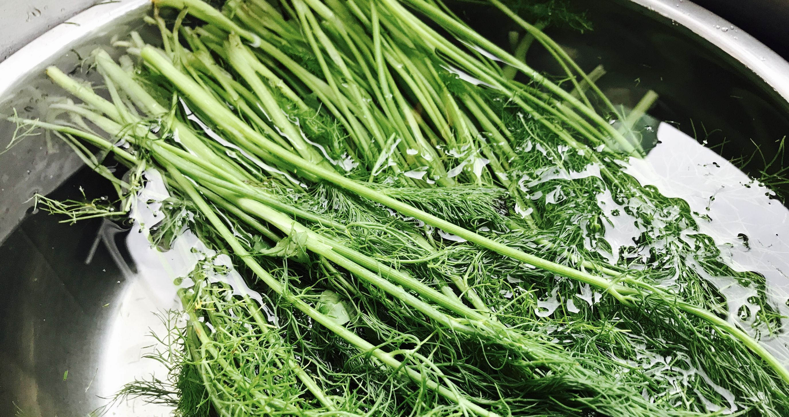 好吃多汁美味的肉馅茴香饺子,比肉都好吃的素茴香馅饺子