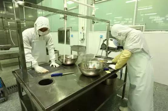 鲟鱼有没有鱼子酱,鲟鱼卵鱼子酱