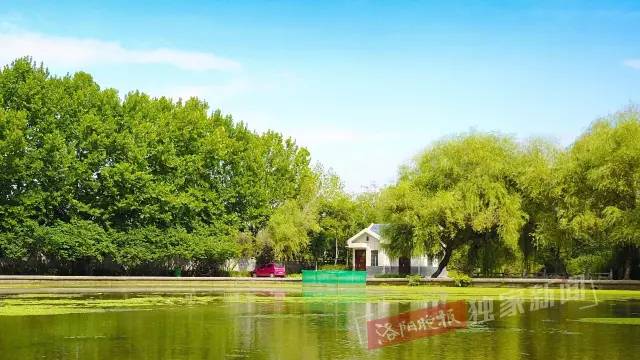 洛阳新开游园,洛阳很美的公园