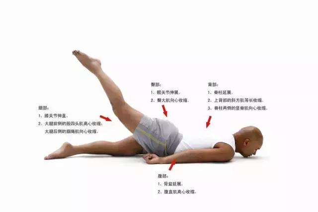 紧致臀线的正确方法,紧致肌肉和提臀的锻炼方法