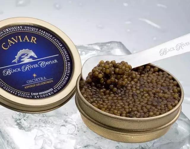 普通鲟鱼有鱼子酱吗,鲟鱼的卵是鱼子酱