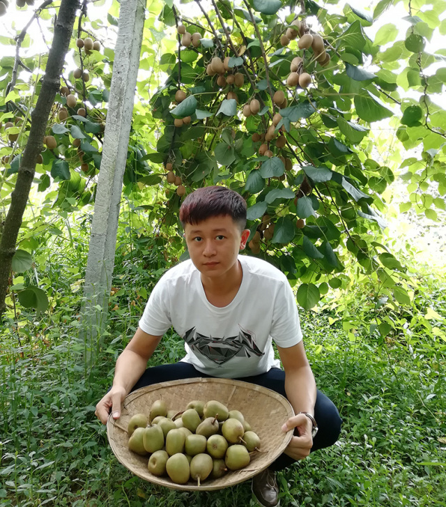 红心猕猴桃多少度的最好喝,红心猕猴桃特别小还特别甜