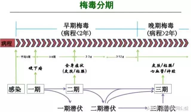 梅毒到底是4周还是六周,梅毒到底是怎么来的