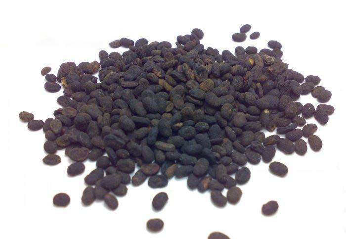 补骨脂与破骨脂有何区别,补骨脂功效与作用及食用方法