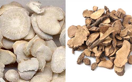 赤白芍与白芍区别,赤白芍白芍有何区别