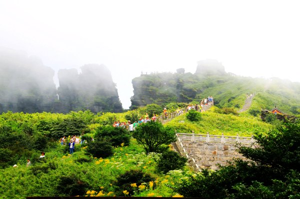 天天有人去山上采蘑菇,每天来观看的游客上万人