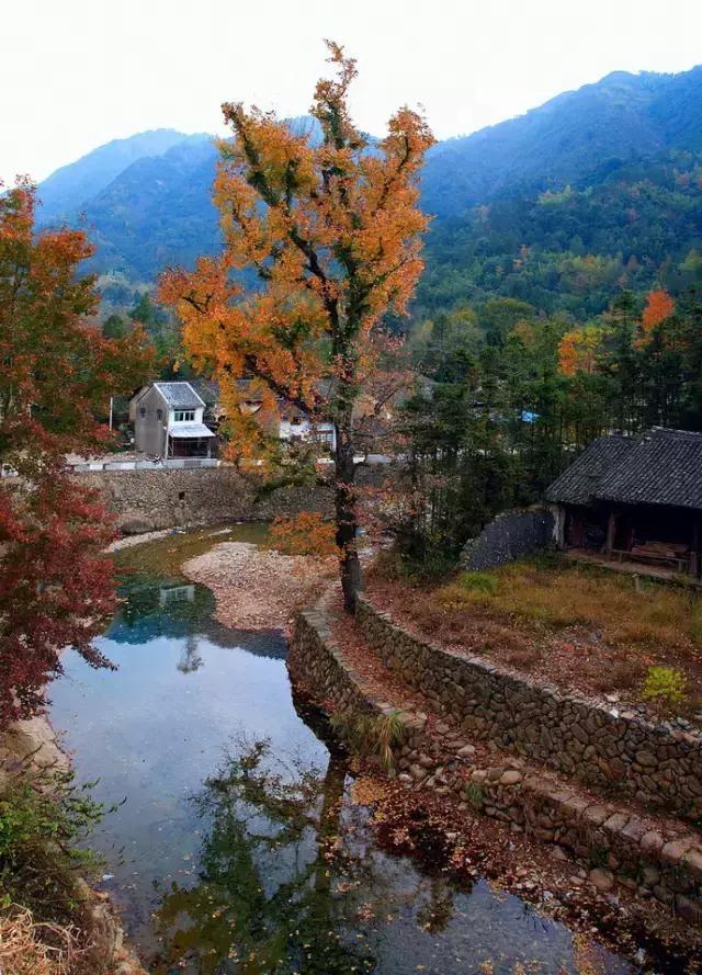 这座千年古县碉堡了——天瑞地安
