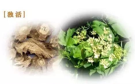 对风湿骨病有效的中药,各种风湿骨病的克星