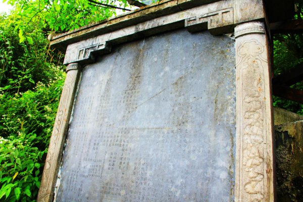 天天有人去山上采蘑菇,每天来观看的游客上万人