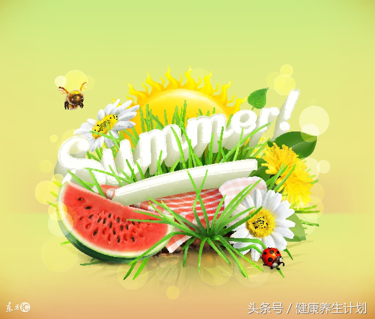 夜间酵素和日间酵素黄金酵素,什么是酵素酵素的功效