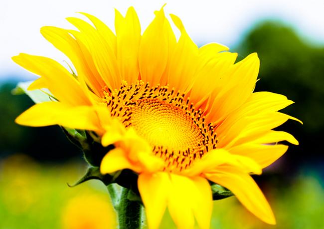 职场也需要品牌公关:如果我们是那名叫“海底捞”的员工