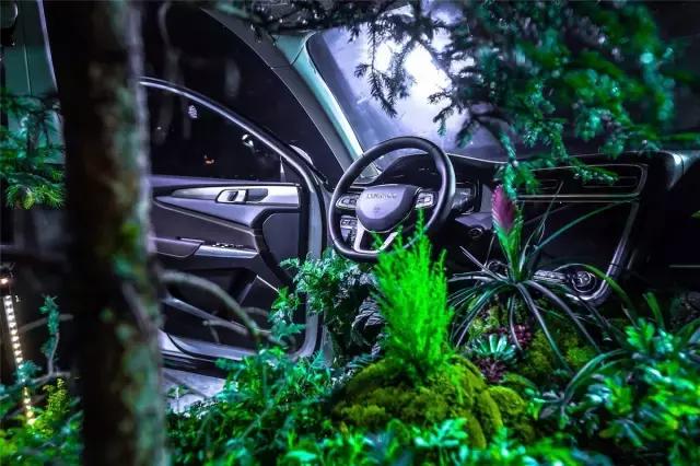 lynkco领克快闪,lynk&co领克一般多少钱