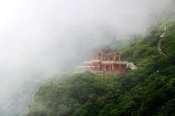 天天有人去山上采蘑菇,每天来观看的游客上万人