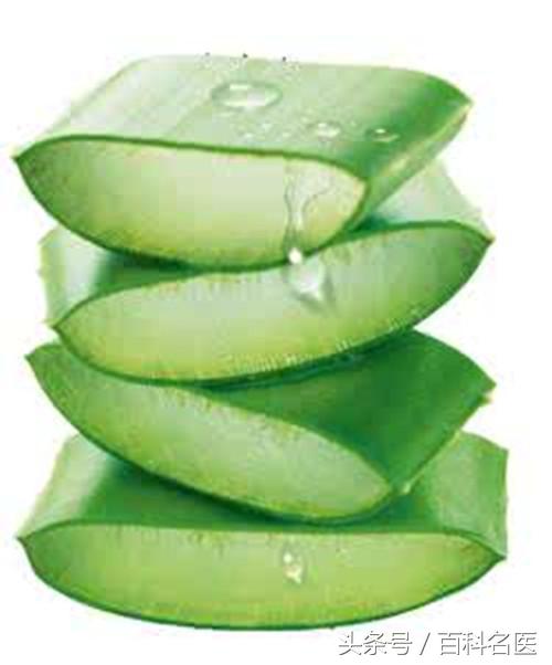 芦荟的十大作用,都不知道的芦荟妙用